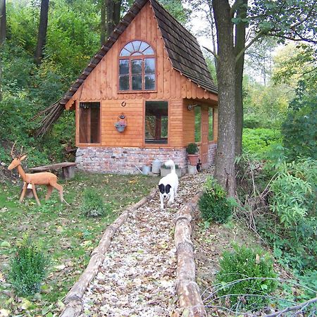 Bed and Breakfast Zbojna Debra Golejów Esterno foto