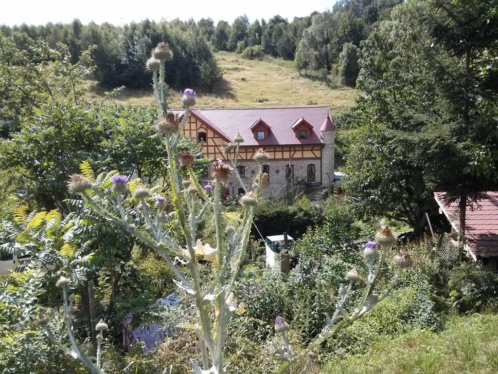 Bed and Breakfast Zbojna Debra Golejów Esterno foto